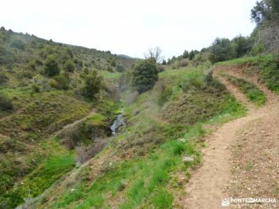 Alcornocal Dehesa Vieja-Atalaya Arrebatacapas;la fuentona de muriel fotos montañas refugio de aliva